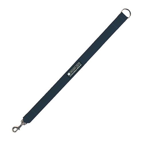 Correia para extensão