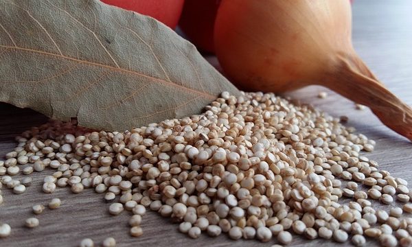 Quinoa é boa para a saúde? A ciência diz que sim!
