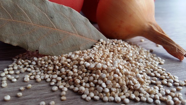 Quinoa é boa para a saúde? A ciência diz que sim!