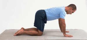 Leg Pull Front ou prancha alta