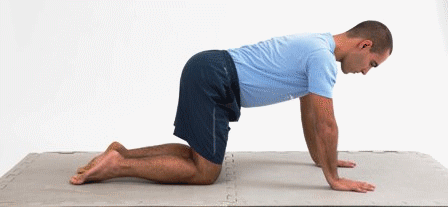 Leg Pull Front ou prancha alta