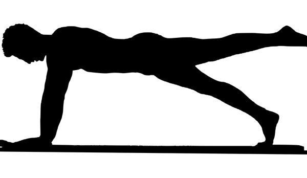 Treinamento em Pilates e Fisioterapia – uma introdução – parte 2